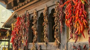 Hello World Featured Image